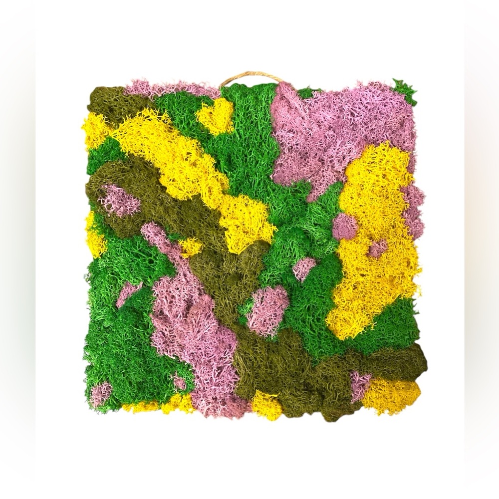 🌿Natural preserved moss wall art home decor accent luxury - only 3 available!